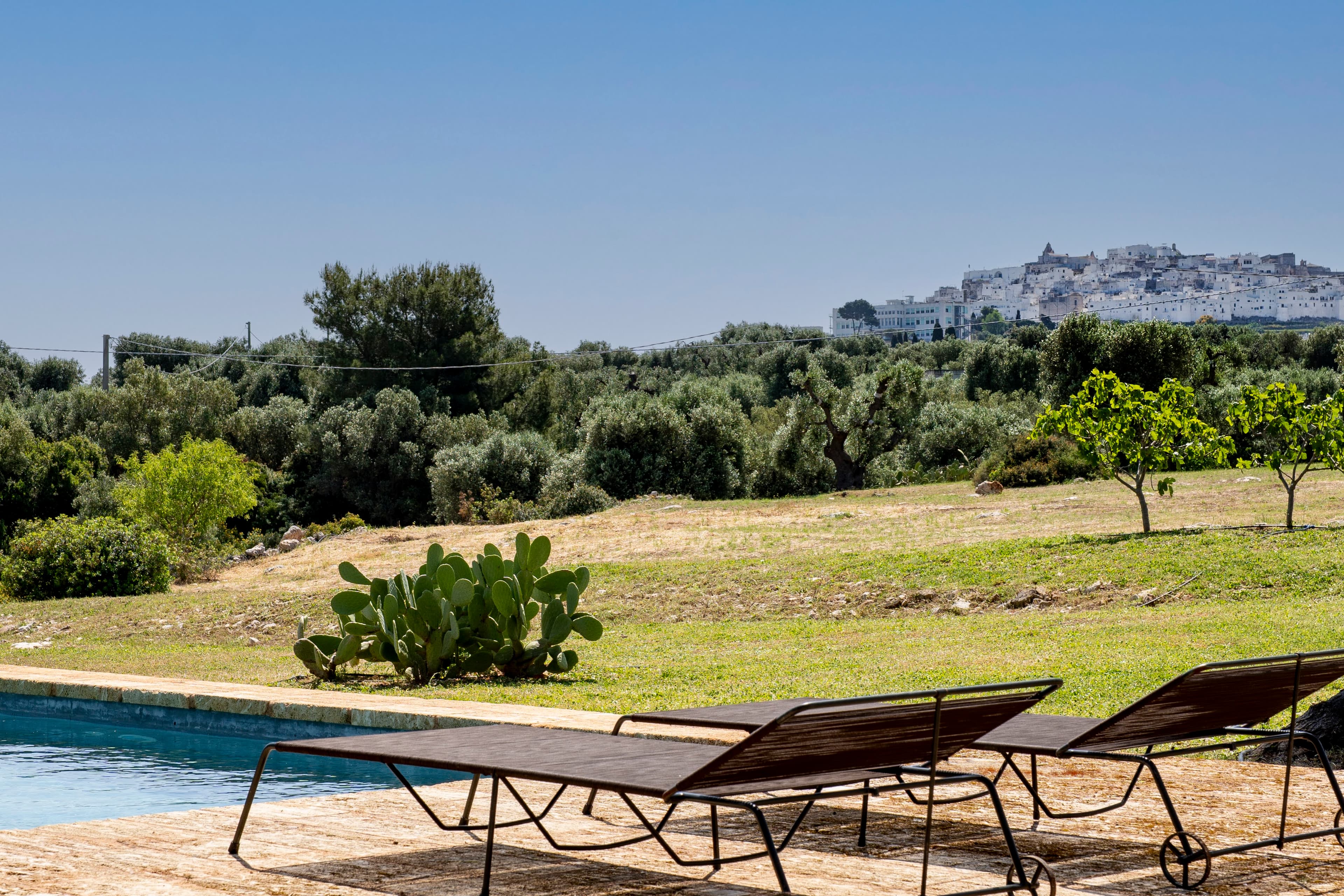 Poolside loungers looking across olive groves to the white hilltop town of Ostuni